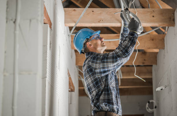 Best Electric Panel Repair  in Shields, MI