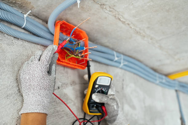 Best Ceiling Fan Installation Electrician  in Shields, MI